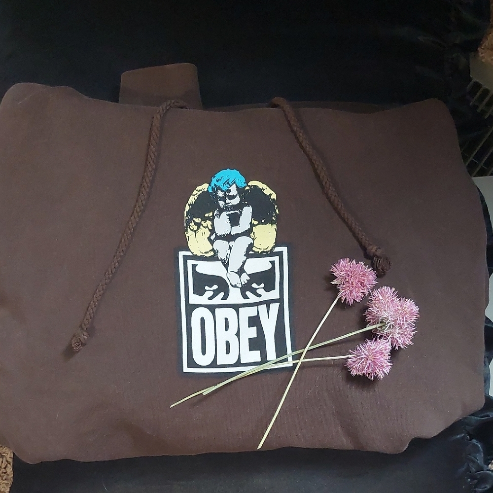Obey Women's Brown Angel Cherub Hoodie Blue Yellow Small Zumiez